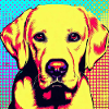 Labrador Pop Art