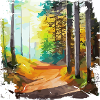 Forest🌳