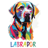 Labrador