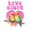 Lovebirds LOVE Bird Love Birds Lovebird