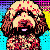 Poodle Cross Pop Art