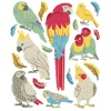 Parrots