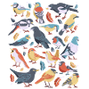 Oiseaux
