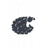 Stay Weird Hirt