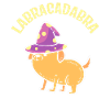 Labracadabra Zauberer