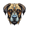 Kangal Dog Portrait