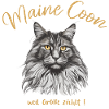 Maine Coon weil Größe zählt!