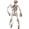 Skeleton Laying On Ground