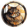 Maine Coon Cat