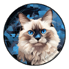 Chat Ragdoll