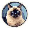 Chat birman