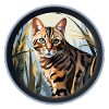 Chat léopard