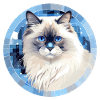 Chat Ragdoll