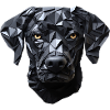Dog-dog portrait: minimalism in