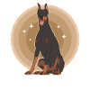 Doberman Dog Dog Owner Gift