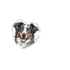 Aussie Love