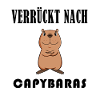 Capybara Wasserschwein Capybaras