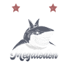Aujourd’hui enfant, demain mégalodon - requin
