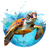 Sea turtle