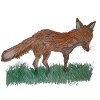 I'm just a fox
