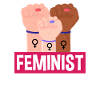 Feminism Feminist