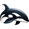 killer whale