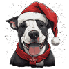 Bull Terrier Noël