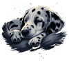 Chiot dalmatien endormi