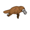 Platypus Schnabeltier