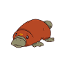 Platypus Schnabeltier