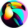 Toucan