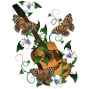 Guitar with flowers and butterflies