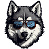 Husky with sunglasses