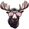 Moose with sunglasses