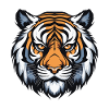 Tiger Portrait