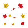 It's Fall Y'all