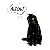Cute Cat Meow - Cat Lover