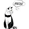 Cute Cat Meow