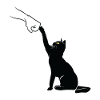 Black Cat Fist Bump