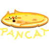 Chat aux crêpes