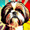 Shih Tzu Pop Art