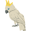 Cockatoo