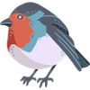 Robin