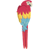 Macaw