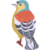 Chaffinch
