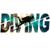 Diving Diver