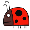 Ladybird