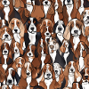 Bassets