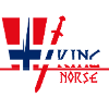 Norway Viking
