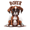 Boxer Was sonst?